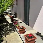 Sladakovic Apartman
